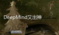 快排公司十年历程，霸屏兔 seo 的崛起与坚守