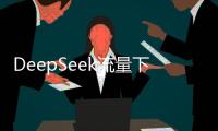 DeepSeek流量下滑
，这半年梁文锋都干了啥？