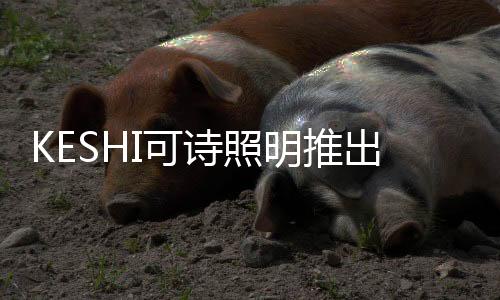 光学扩散板3层柔光处理