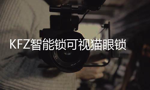 KFZ品牌名称朗朗上口
