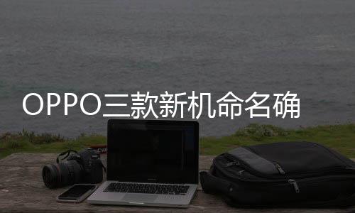 会先发布标准版和Pro版