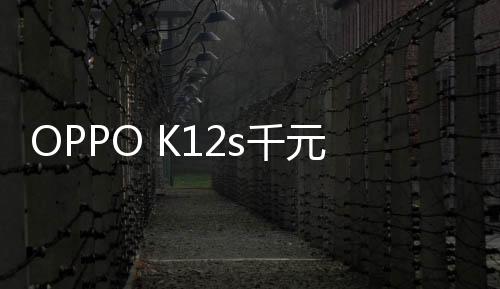 按照每天使用1个循环来计算