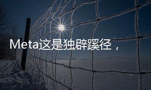 Meta所面临的独辟压力不小