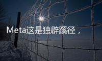 Meta这是独辟蹊径，还是病急乱投医？