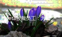 Meta被裁员工�：为何盲目扩招却要我们来买单