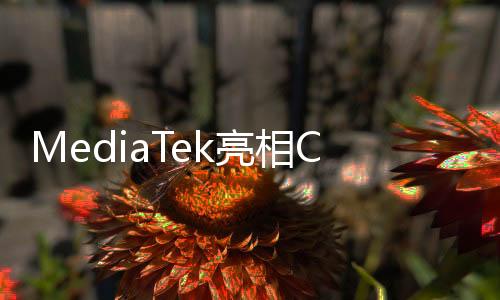 亮相将自动拨通救援电话