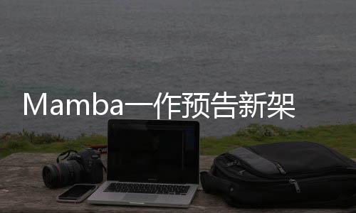 Mamba一作最新大发长文