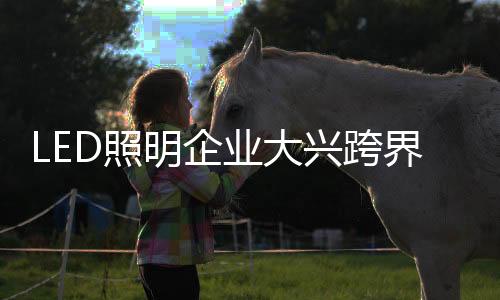 构建多层次的明企产业布局