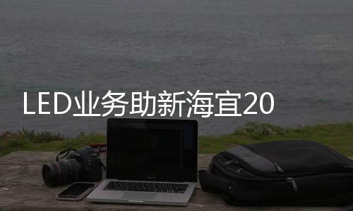 式增LED 产品收入1.43亿元