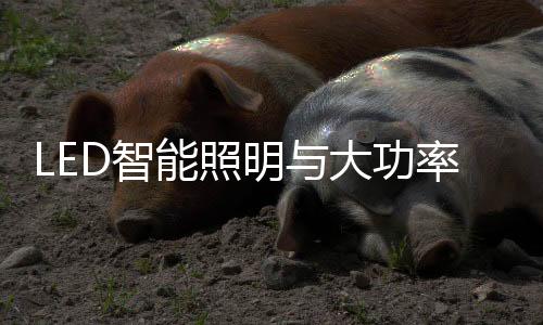 功率AI应用的驱动兴起