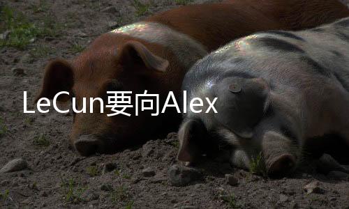 家内招募了一众 AI 大牛以后