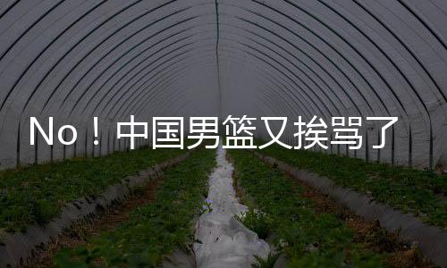 中国球星和欧洲球星