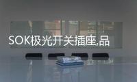 SOK极光开关插座,品牌精品	，质量上乘