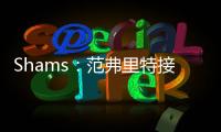 快排公司十年历程，霸屏兔 seo 的崛起与坚守