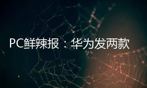 AMD正式发布RX 9060 XT系列显卡