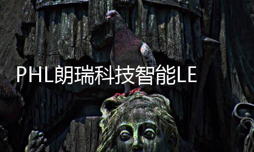 瑞科独有软件编写***
