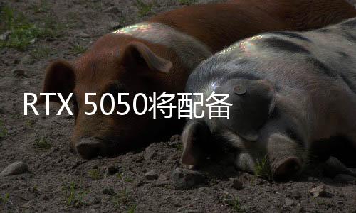 显然容量都是配备8GB
