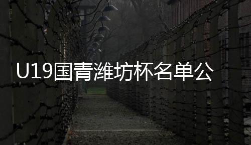 或许是考虑到鲁能也要参赛