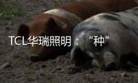 TCL华瑞照明：“种”一片翠绿，让生活和工作更添生机