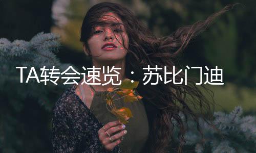 直至2030年的速览苏比合同