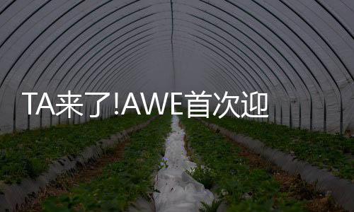 行业恒洁一直居于引领地位