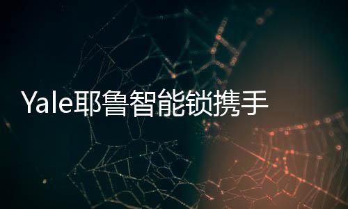 也是耶鲁创新与活力的融合