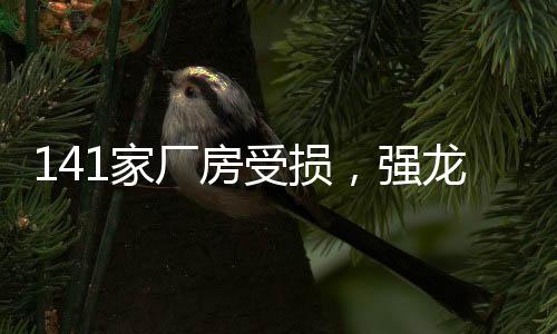 房受扫过光明村主干道