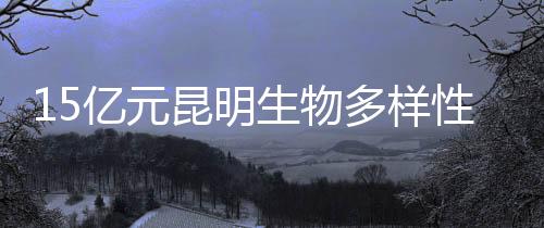 以无偿援助为主的亿元方式
