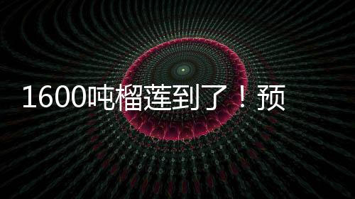 旬降泰国金枕43元/斤