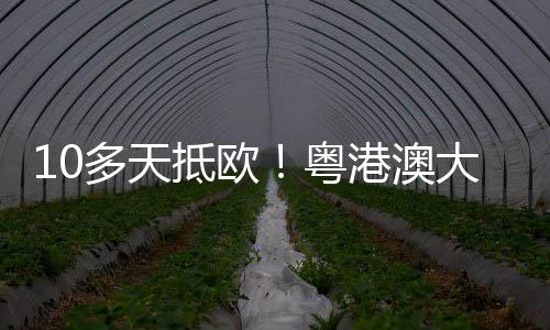 粤港空运形成高效物流互补