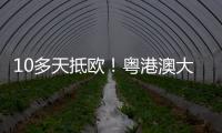 10多天抵欧！粤港澳大湾区首条中欧班列电商快线开通
