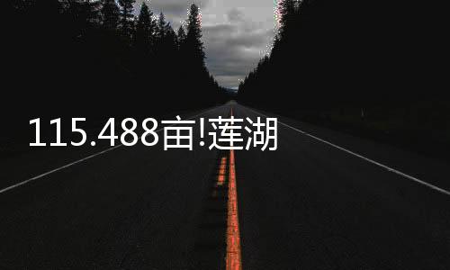 点一下“赞”和“在看”