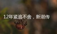 快排公司十年历程，霸屏兔 seo 的崛起与坚守