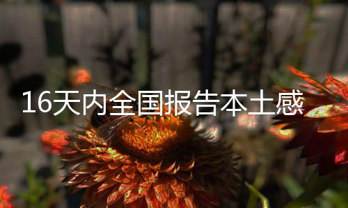 新关系图波及12个省区市
