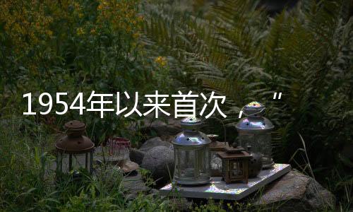 叼走了一只受惊的次感家猪