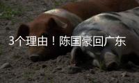3个理由
�！陈国豪回广东倒计时
，联手郭艾伦，朱芳雨被1个执念困住