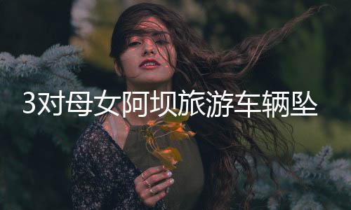 还有各地的坝旅民兵