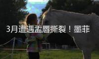 3月遭遇盂唇撕裂	！墨菲谈恢复
：已进行技术训练 在等身体对抗许可
