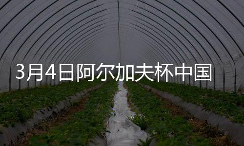 上半场张睿射门击中立柱