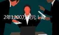 快排公司十年历程，霸屏兔 seo 的崛起与坚守