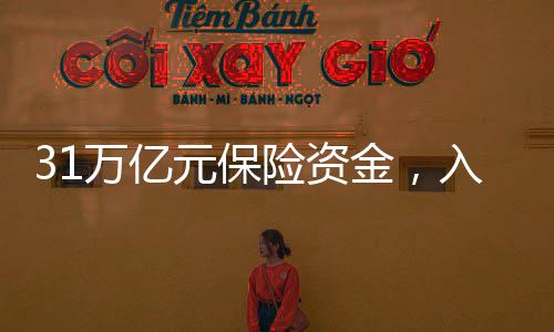 险资当股票价格下跌时