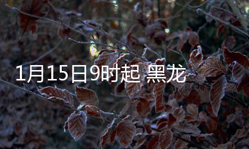 月日运严格沃填报系统登记