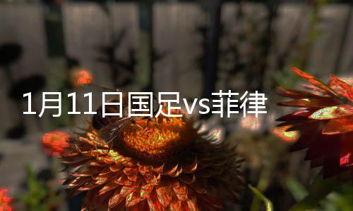 宾战报施特劳斯将球分向左侧