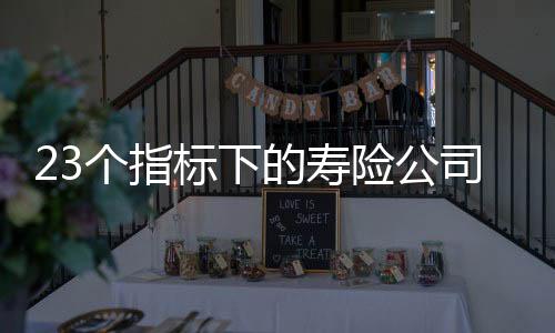  在业务经营能力维度中