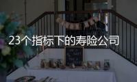 23个指标下的寿险公司画像比拼：哪家综合实力居末席？哪家赔付更快
�？｜透视金融业年报⓽