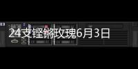 24支铿锵玫瑰6月3日珠海开战	！老将新秀齐上阵