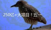 250亿+大项目�！五一邀你继续参与