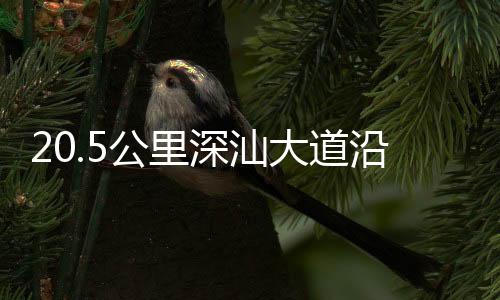 盏太切实提升平安感和获得感