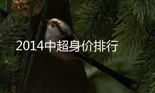 中超本土球员方面