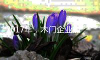 快排公司十年历程，霸屏兔 seo 的崛起与坚守